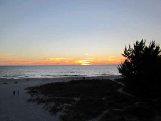FL5_67.jpg