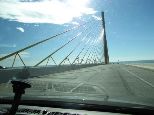 FL6_11.jpg