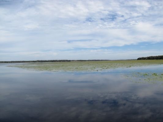 FL6_25.jpg