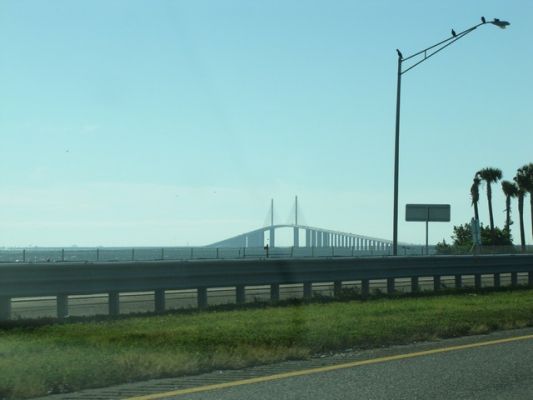 FL6_5.jpg