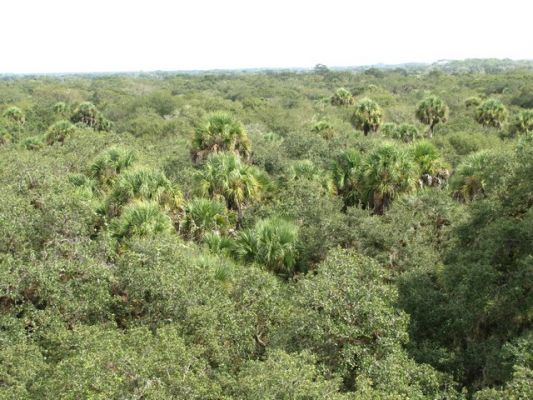 FL6_55.jpg