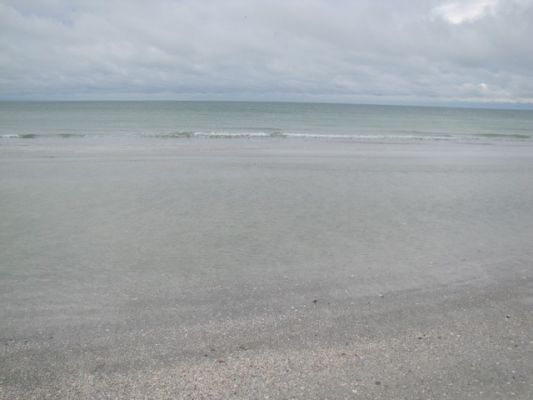 FL7_1.jpg
