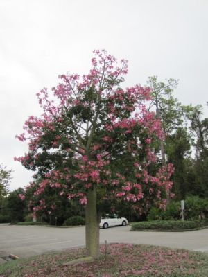 FL7_21.jpg
