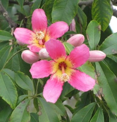FL7_22.jpg