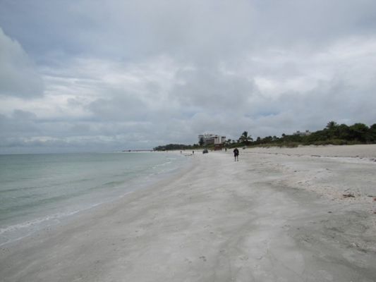 FL7_6.jpg