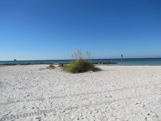 FL8_1.jpg