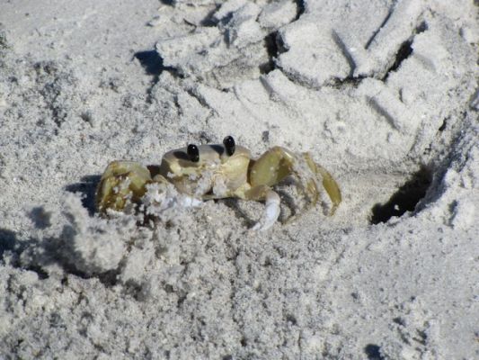 FL8_12.jpg