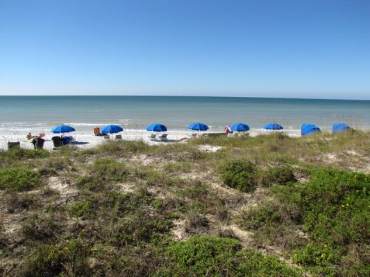 FL8_14.jpg