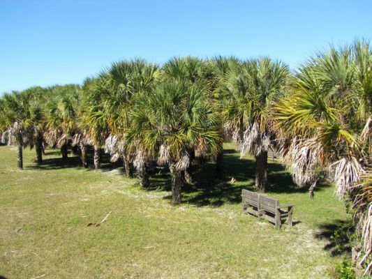 FL8_25.jpg