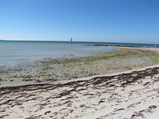 FL8_5.jpg
