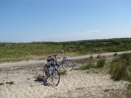 IMG_0266_18.jpg