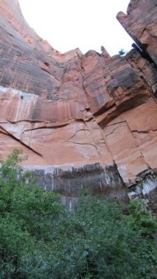 IMG_0272_05.jpg