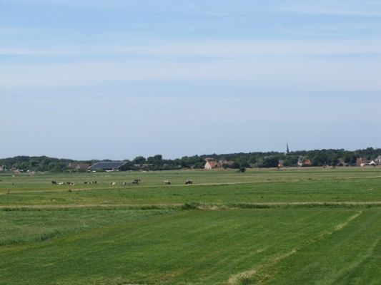 IMG_0307_26.jpg