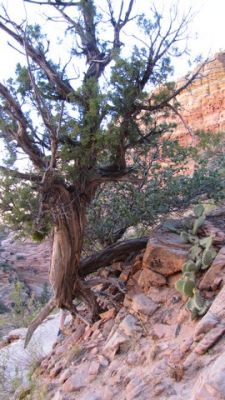 IMG_0332_05.jpg