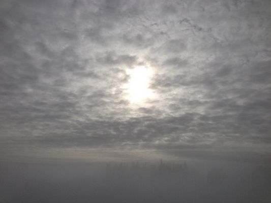 IMG_0760_06.jpg