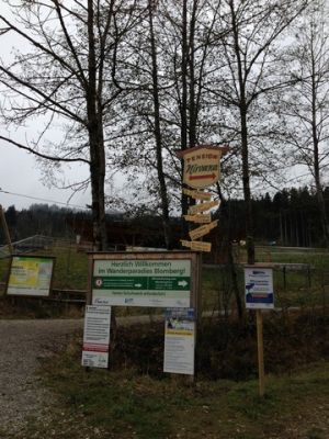 IMG_0804_30.jpg