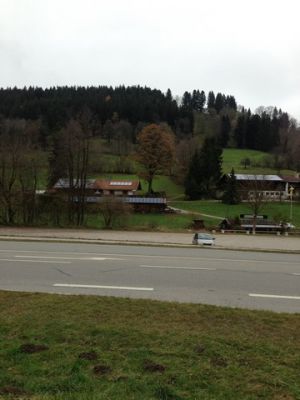 IMG_0805_31.jpg