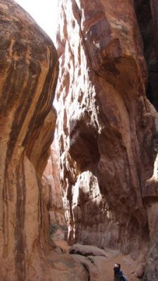 IMG_0834_04.jpg