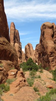 IMG_0867_07.jpg