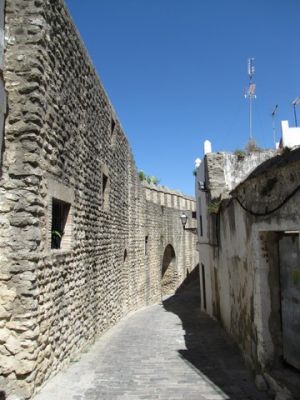 IMG_2503_43.jpg