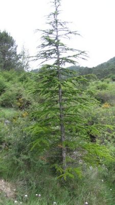 IMG_2637_05.jpg