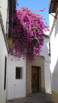 IMG_2851_15.jpg