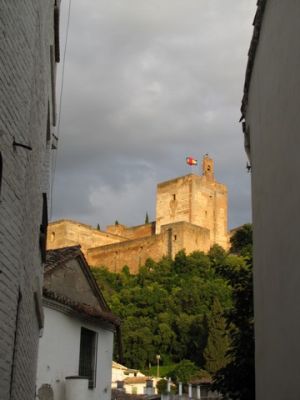 IMG_3136_04.jpg
