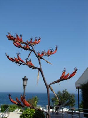 IMG_3496_08.jpg