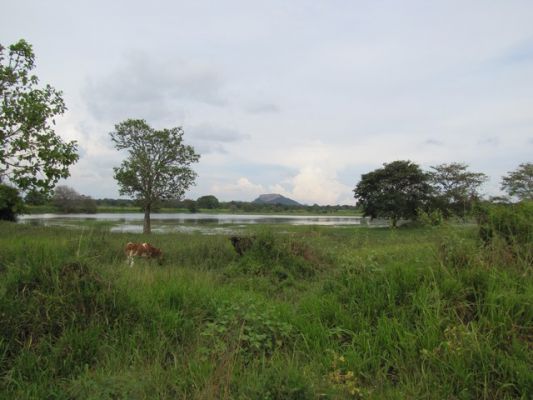 IMG_4067_03.jpg