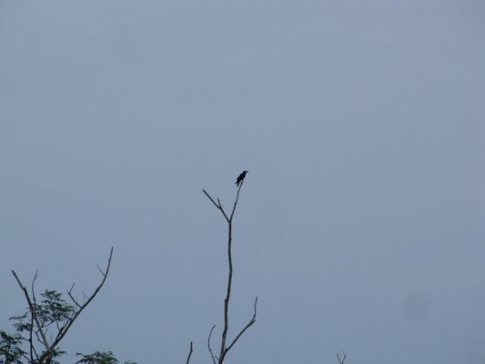 IMG_5143_31.jpg