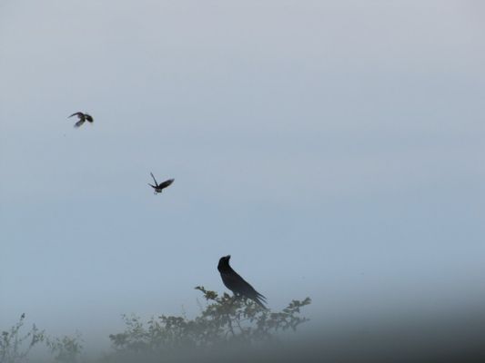 IMG_5338_27.jpg