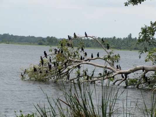 IMG_5376_42.jpg