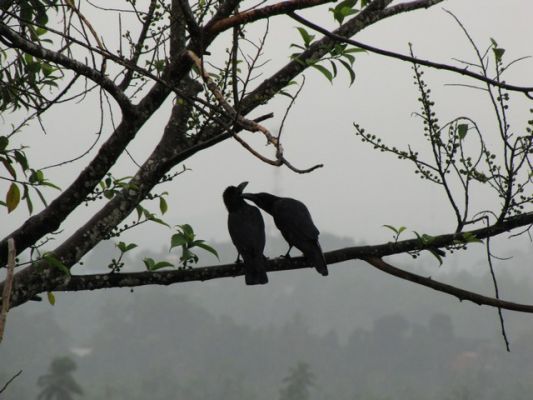 IMG_5462_07.jpg