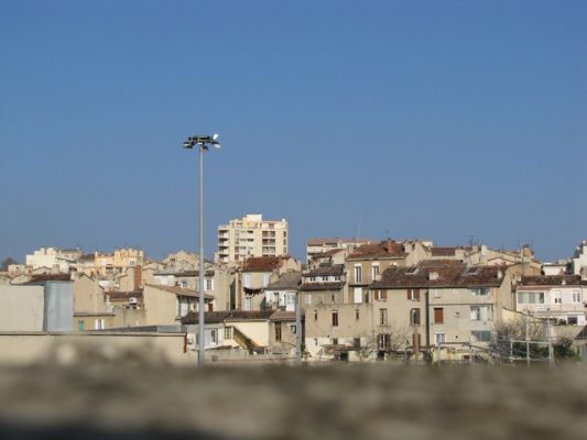 IMG_6203_20.jpg