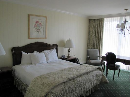 IMG_6337_22.jpg
