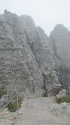 IMG_9850_07.jpg