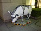 DSC00125_15.jpg