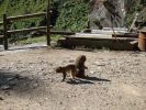 DSC00206_14.jpg