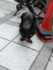 DSC00310_03.jpg
