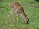 DSC00469_02.jpg