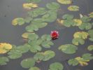 DSC00473_05.jpg