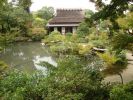 DSC00478_07.jpg