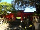 DSC00520_27.jpg