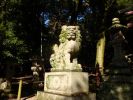 DSC00521_28.jpg