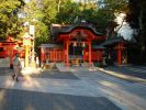 DSC00531_05.jpg