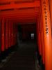 DSC00546_14.jpg