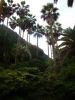 DSC00668_05.jpg