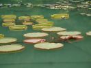 DSC00696_14.jpg