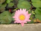 DSC00711_18.jpg