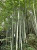 DSC00777_10.jpg